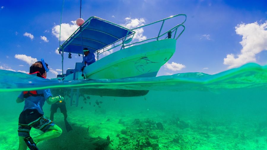 Go snorkeling in the waters off Cancun
