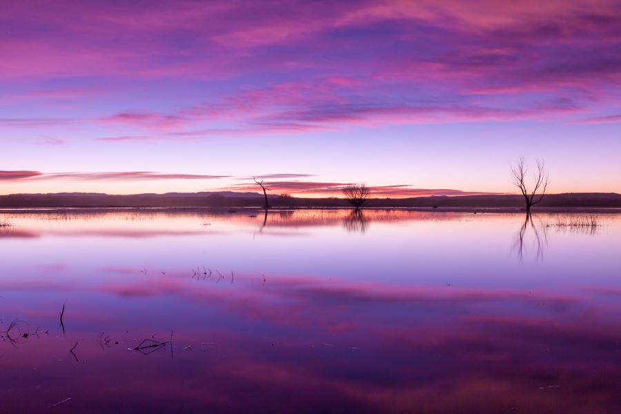  Bosque Del Apache National Wildlife Refuge