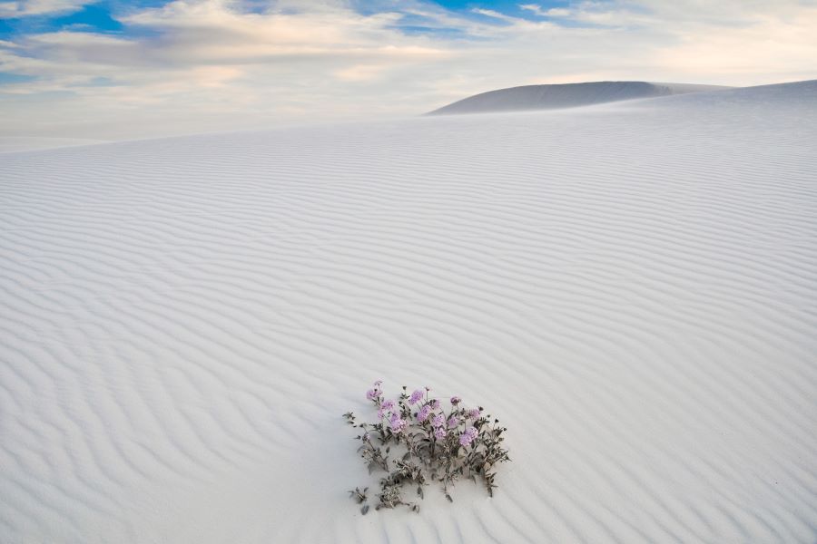 White Sands National Park