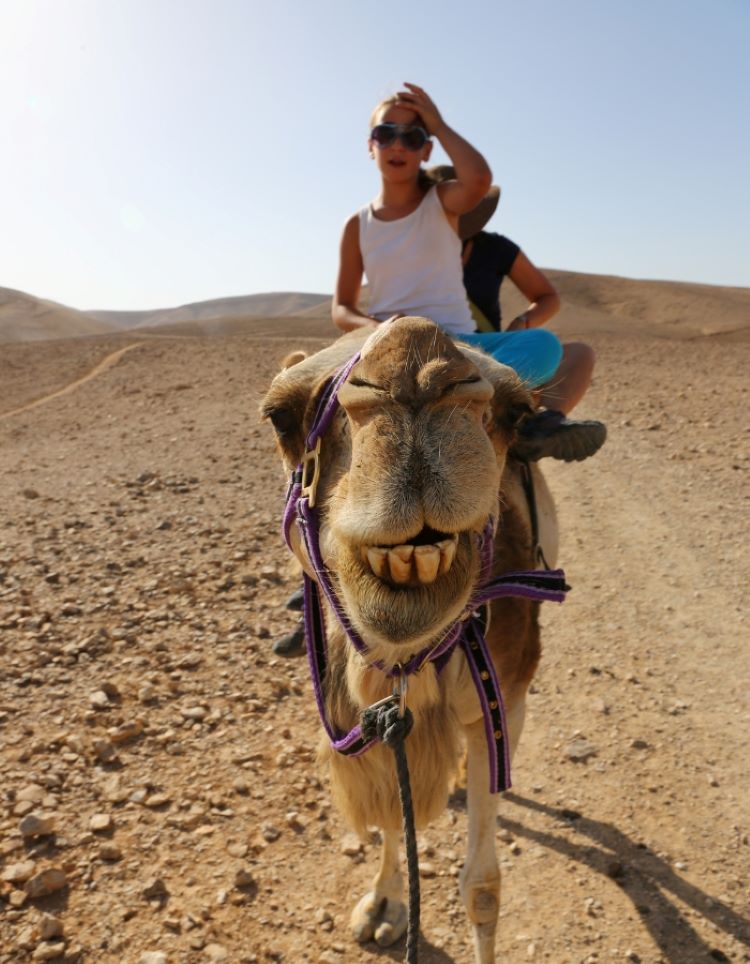 Camel Riding at Cabo San Lucas