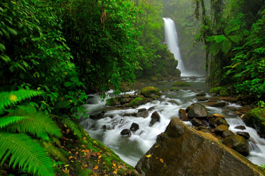 La Fortuna and Arenal