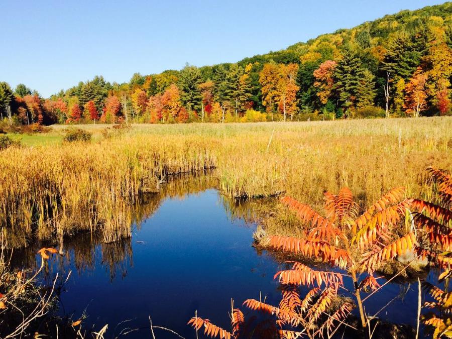 Fall at Quechee, VT