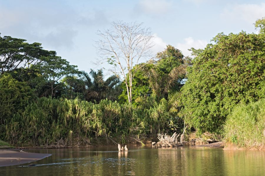 Tortuguero National Park