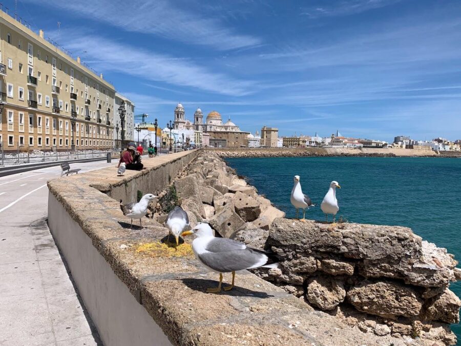 Winter getaway to Cadiz, Spain