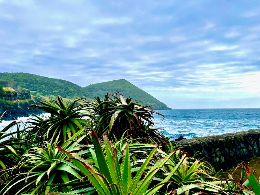 Visit the Azores in Winter