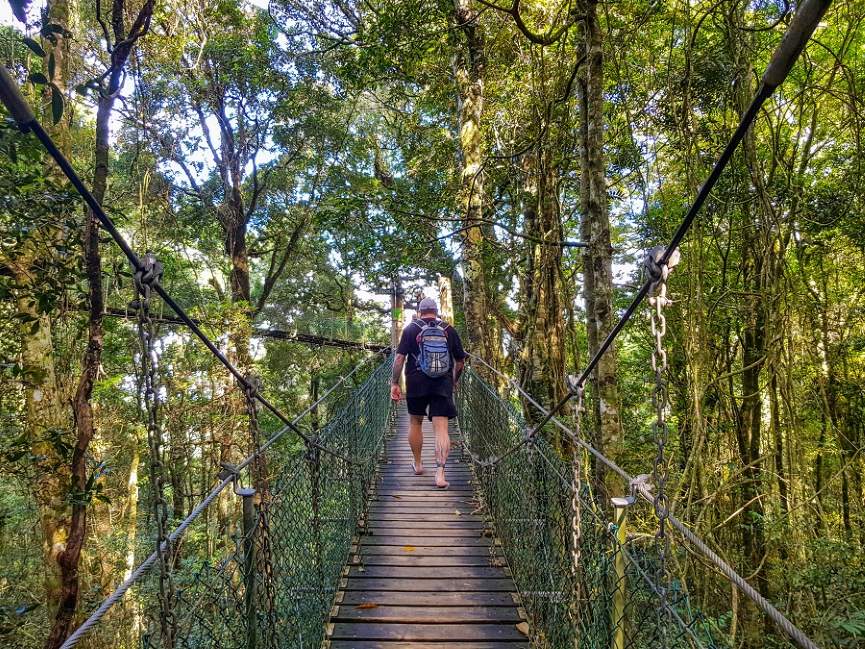 O’Reilly’s Tree Top Walk at Queenslanfd