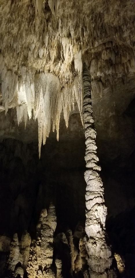 Know Before You Go Carlsbad Caverns