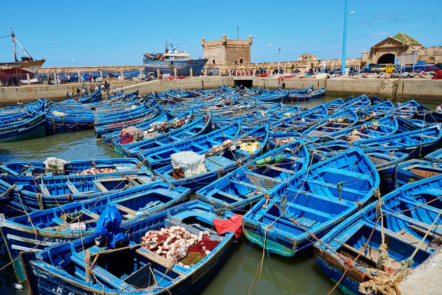 A visit to Essaouira