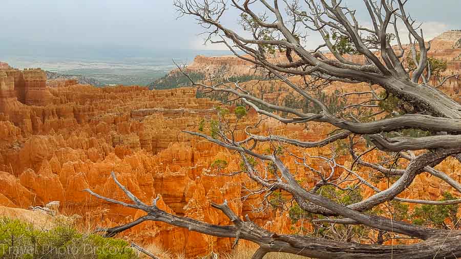 Additional Things to Do in and around Bryce Canyon 