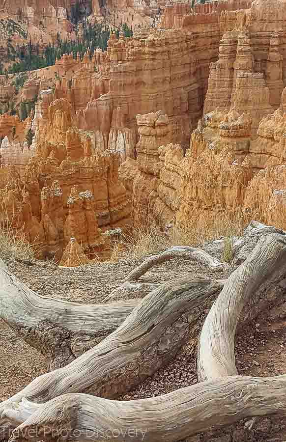 Hiking trails at Bryce Canyon