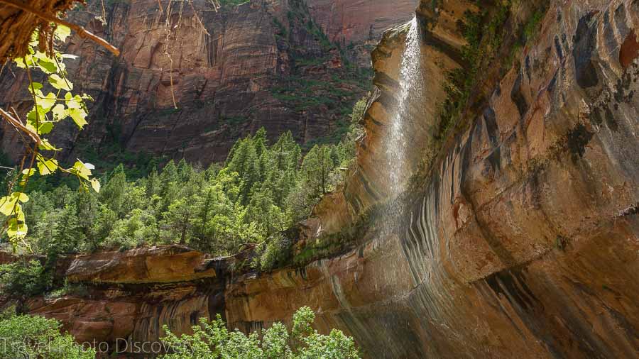 Explore Emerald Pools Trail (easy-moderate, 2 miles) and cool off by the waterfalls.

