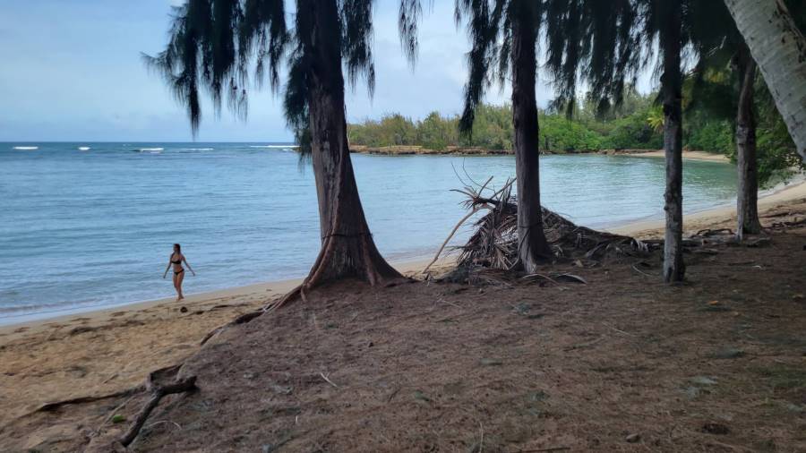 Check out these other posts to visiting Oahu