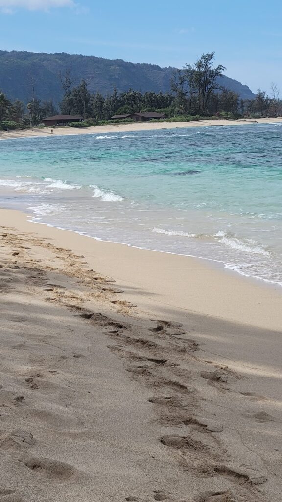 Find your favorite beach along the North Shore area