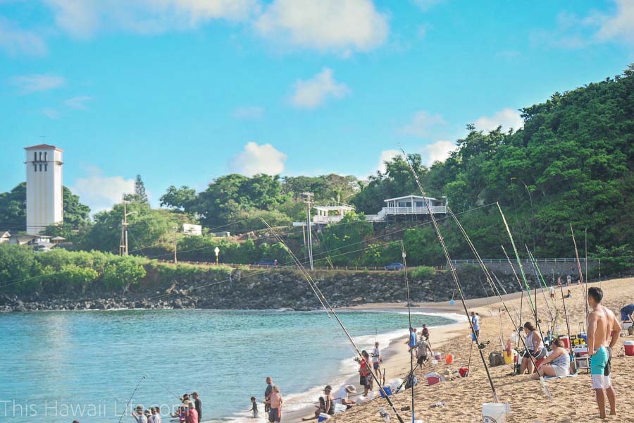 Waikiki to North Shore