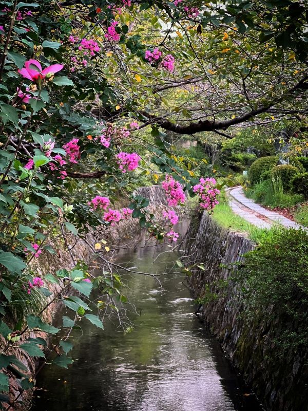 Path of Philosophy