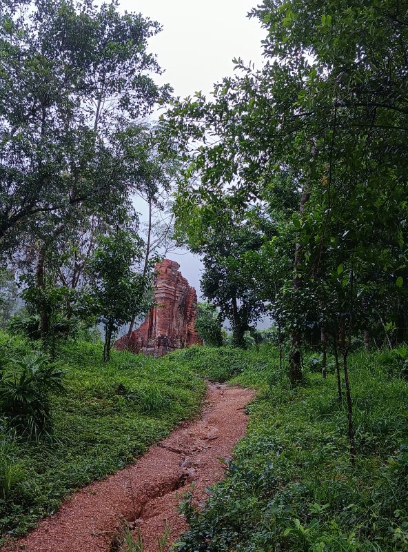 Group G temples in jungle setting