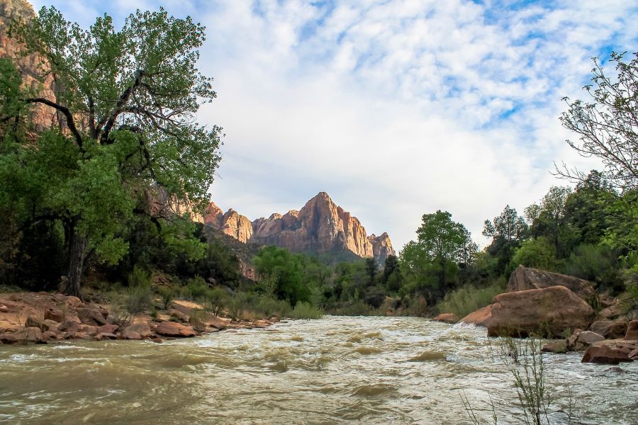 Virgin river at zion national park