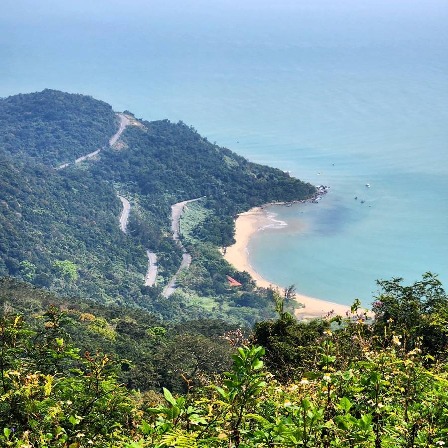 Visiting the Son Tra Peninsula