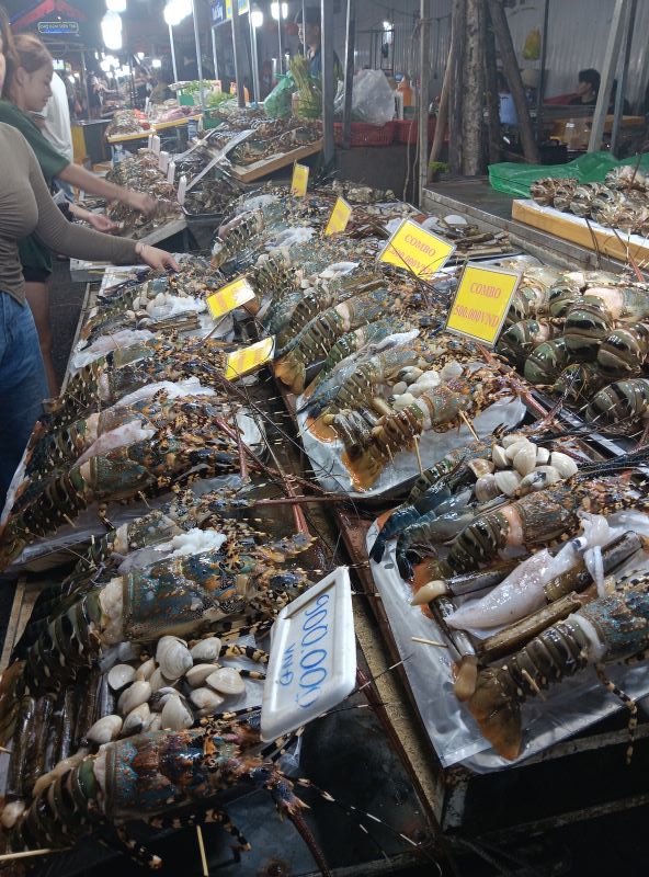 Checking out the night market in Da Nang