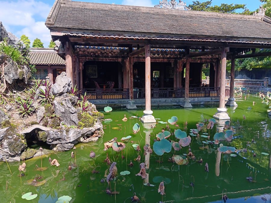 Hue Imperial City (100 km from Da Nang) lily pond