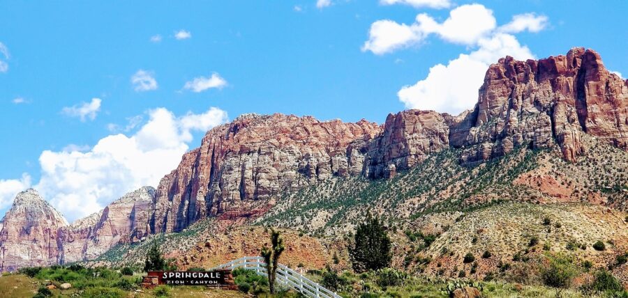 Explore the town of Springdale or take a scenic drive on the Zion Canyon Scenic Drive.