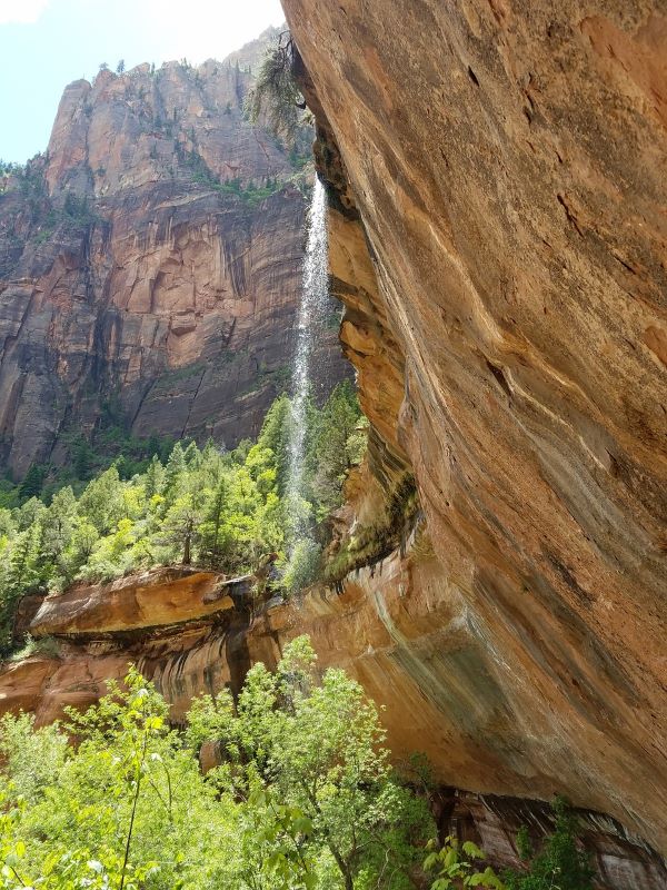 Consider visiting the Emerald Pools, Weeping Rock or the Lower, Middle, and Upper Emerald Pools