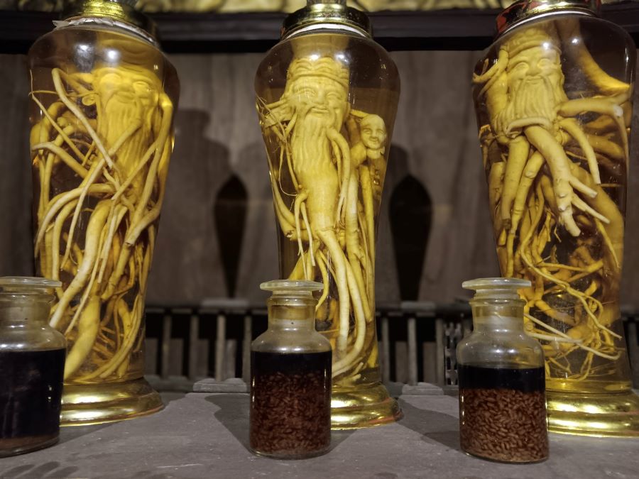 Explore Herbal Displays