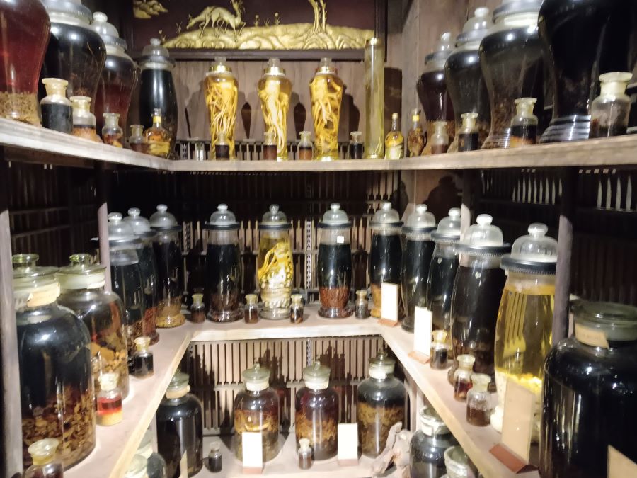 Museum of Traditional Vietnamese Medicine